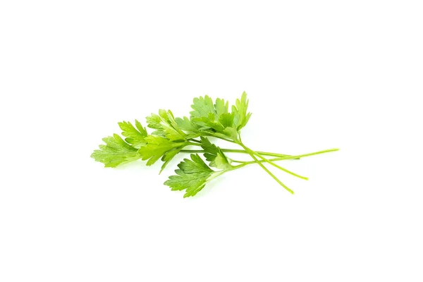 Fresh green parsley leaves bunch, raw organic leaf, isolated on white background — Stock Photo, Image