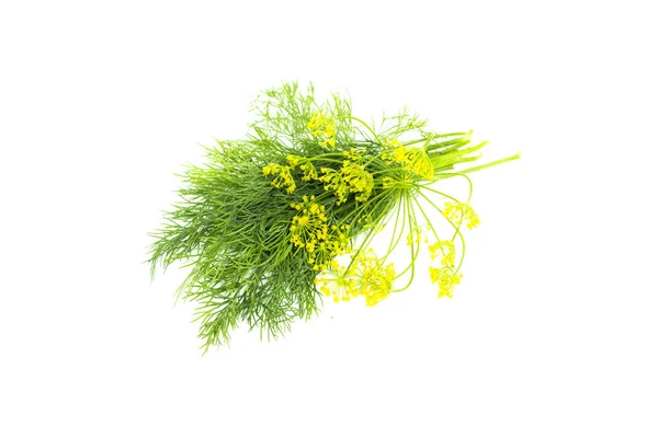 Folhas de endro verde fresco e guarda-chuva, molho de endro perfumado, ingrediente alimentar, close-up, isolado no fundo branco — Fotografia de Stock