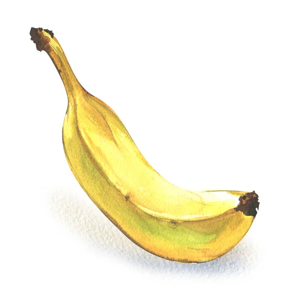 Fruto de plátano amarillo único maduro aislado, acuarela dibujada a mano ilustración en blanco —  Fotos de Stock