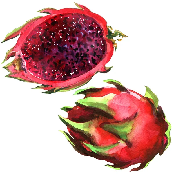 Pitaya, Red Dragon fruit, pitahaya, whole and half, tropical fruits isolated, hand drawn watercolor illustration on white — Stock Photo, Image