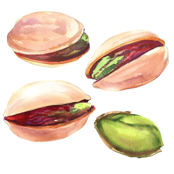 Set of green pistachio nuts with shel, peeled and unpeeled pistachios isolated, hand drawn watercolor illustration on white — Stock Photo, Image