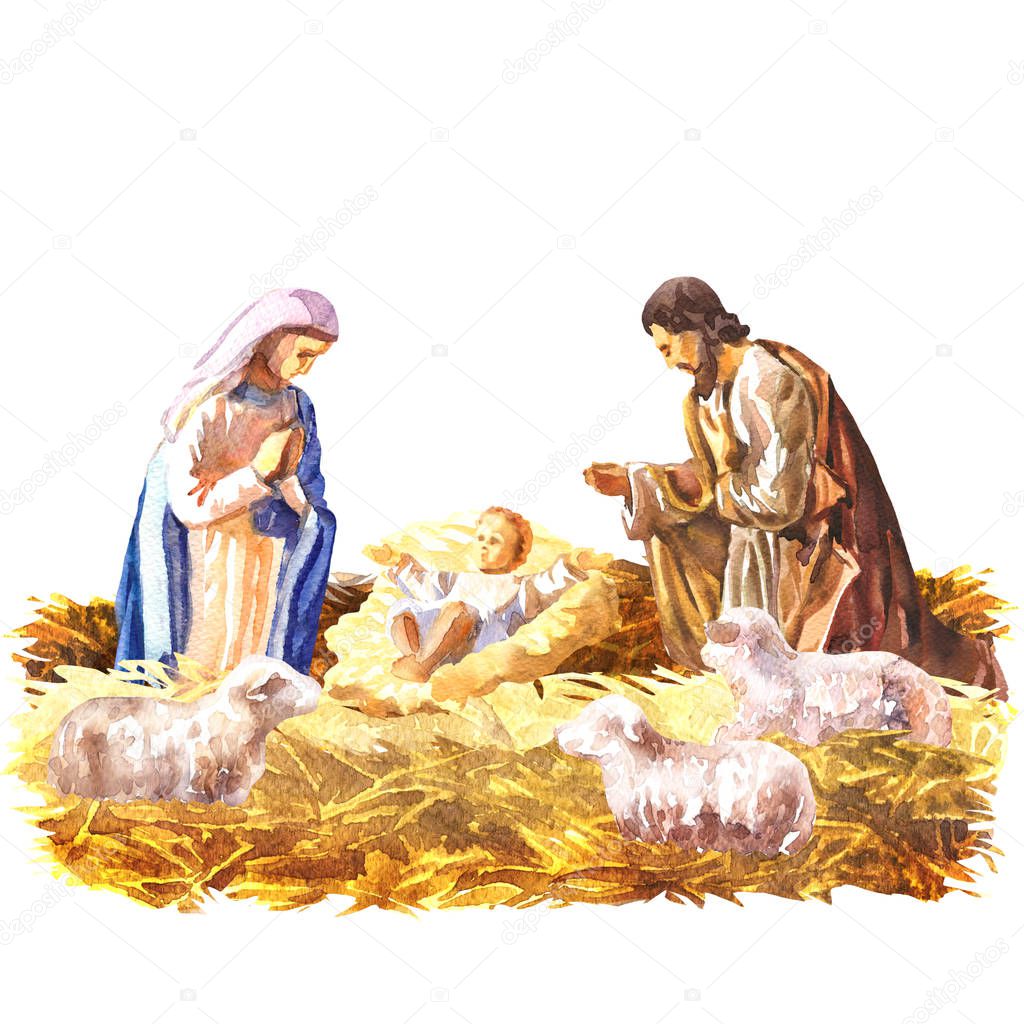 Christmas Crib, Holy Family, Christmas nativity scene with baby Jesus, Mary and Joseph in the manger with sheeps, Christian Catholic religious card, isolated, hand drawn watercolor illustration