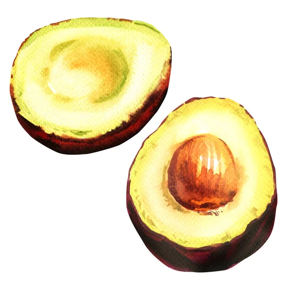 Frische Avocado, ganze und halbreife exotische Früchte isoliert, handgezeichnete Aquarell-Illustration auf weiß — Stockfoto