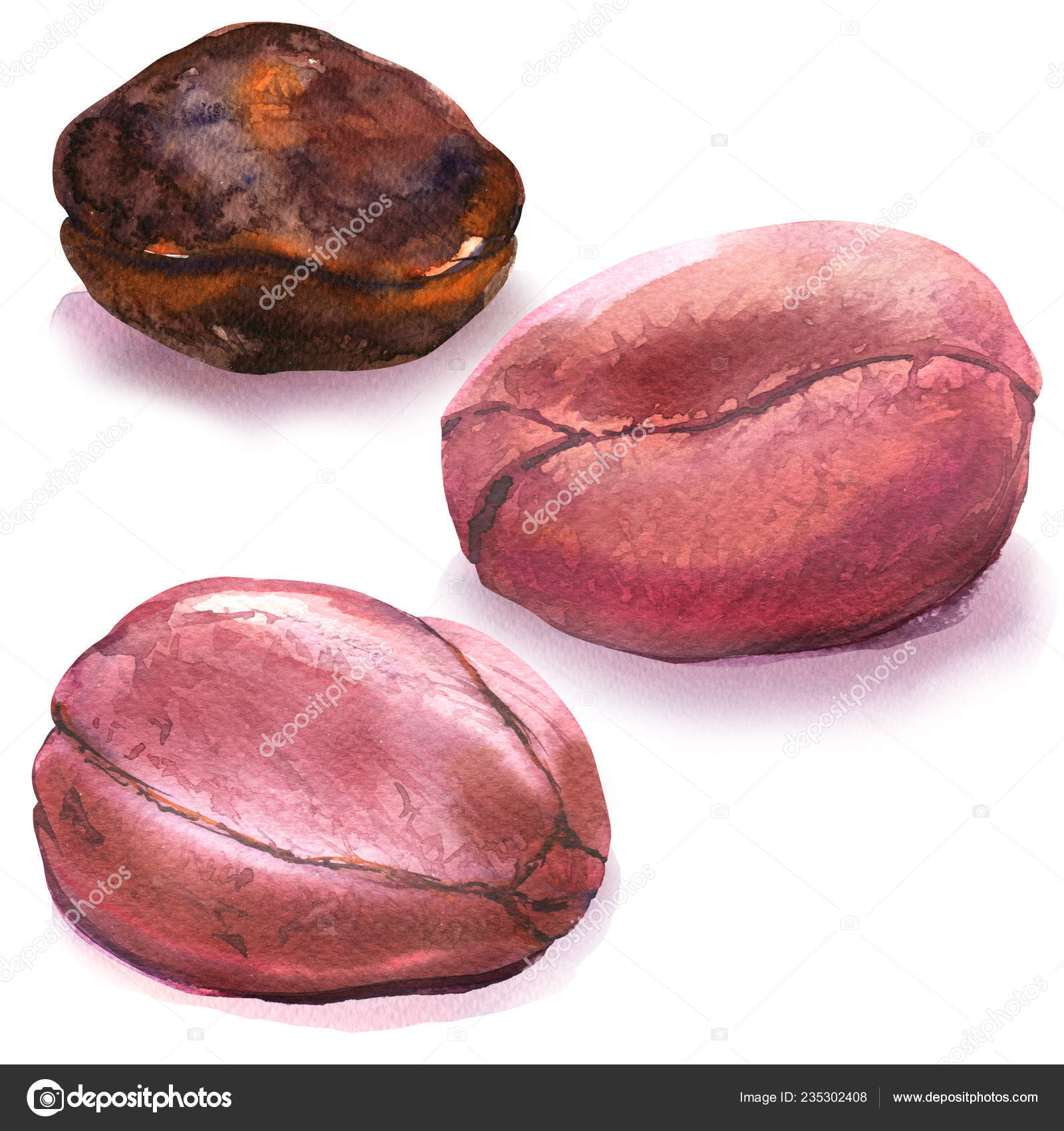 Whole cola nuts, kola nut, african fruit, bitter kola, nigerian