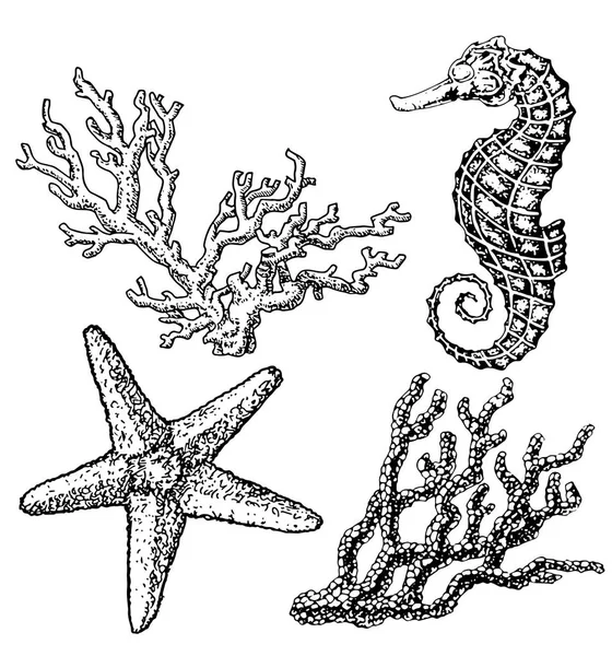 Графический коралловый риф с морской лошадью, морской звездой, морской звездой, морскими звездами, кораллами, под морской тематикой, набор элементов для морского дизайна, морская коллекция, ручная иллюстрация на белом — стоковый вектор