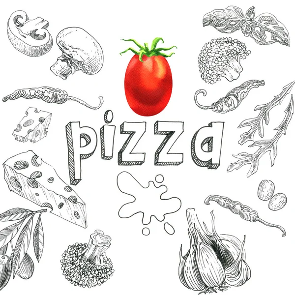 Food ingredients for pizza, sketch set, tomato, mushrooms, cheese, peppers, broccoli, arugula, basil, garlic, olives, template for menu, package design, hand drawn illustration on white