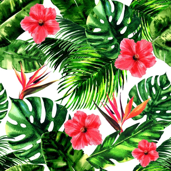 Tropikalny wzór z liści palmowych, rajski ptak, kwiat hibiskusa, lato kolorowy wzór Tapety, monstera liść, nadruk letnim, dłoń akwarela ilustracja na białym tle — Zdjęcie stockowe
