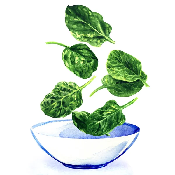 Čerstvé zelené listy špenátu spadajících do bílé mísy salátu, ručně tažené akvarel ilustrace na bílém — Stock fotografie