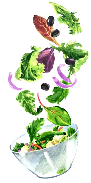 Fresh salad with flying vegetables, green leaves, vegetarian healthy food, ingredients falling into bowl, isolated, hand drawn watercolor illustration on white