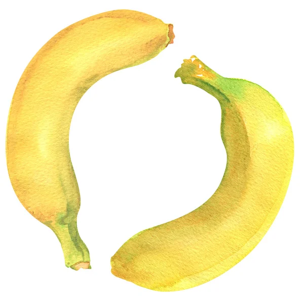 Banana, duas bananas maduras, alimentos orgânicos saudáveis, isolado, desenhado à mão ilustração aquarela em branco — Fotografia de Stock