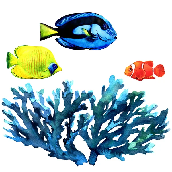 Arrecife de coral oceánico y peces, algas tropicales, corales, tema submarino, conjunto de elementos para el diseño marino, colección de mar, aislado, ilustración dibujada a mano en blanco — Foto de Stock