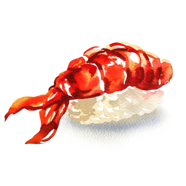 Frische Shrimp Sushi Nahaufnahme, Nigiri Sushi, japanisches Essen mit Reis und Meeresfrüchten, isoliert, handgezeichnete Aquarell-Illustration auf Weiß — Stockfoto