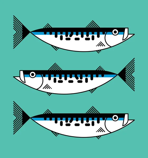 Caballa atlántica fresca pescado de mar aislado, icono, símbolo gráfico, concepto de envasado de mariscos, ilustración vectorial hecha a mano — Archivo Imágenes Vectoriales