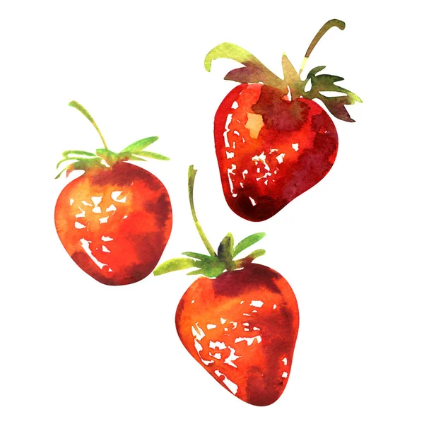 Frische rote Erdbeeren, Sommer süße Beeren isoliert, Nahaufnahme, Verpackungsdesign-Element, vegetarische Biolebensmittel, handgezeichnete Aquarell-Illustration auf Weiß — Stockfoto