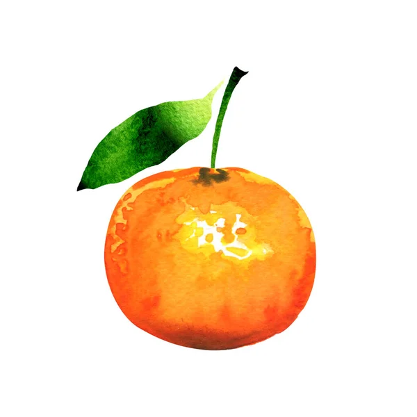 Mogen apelsin mandarin eller klementin med grönt blad, närbild, citrusfrukt isolerad, handritad akvarell illustration på vitt — Stockfoto