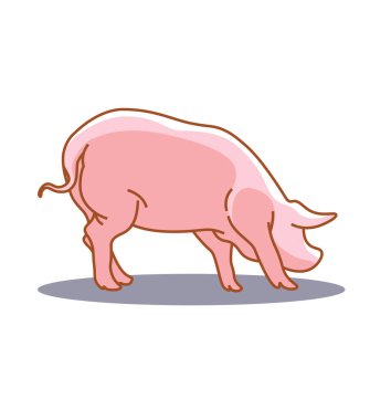 Pembe domuz, grafik düz çizgi tarzı, hayvan konsepti, beyaz üzerinde vektör çizimi