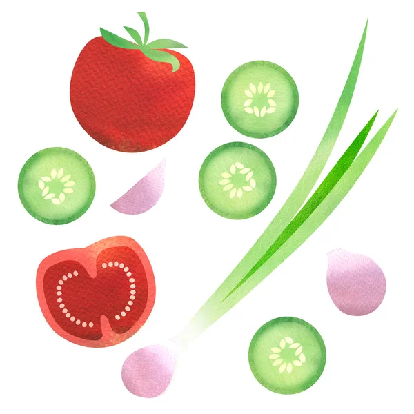 Rote Tomatenstücke, Gurkenscheiben, Zwiebeln, frisches Gemüse, Zutatenliste für Salat isoliert, Draufsicht, flaches Symbol, kreatives Layout, handgezeichnete Aquarell-Illustration auf Weiß — Stockfoto