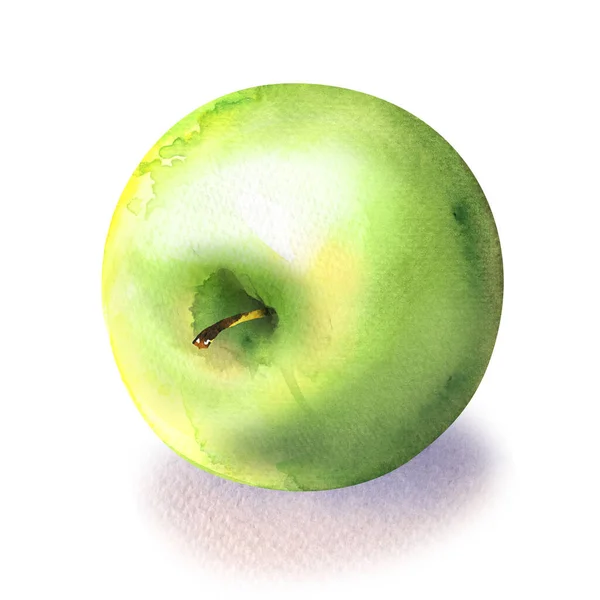 Свіже зелене яблуко, соковиті фрукти ізольовані, вид зверху, крупним планом, елемент дизайну упаковки, органічна вегетаріанська їжа, намальована рукою акварельна ілюстрація на білому — стокове фото