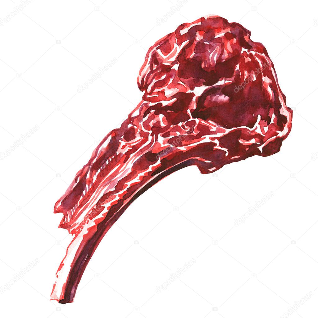 Raw tomahawk beef steak, uncooked meat ready to cook, close up, top view, isolated, hand drawn watercolor illustration on white