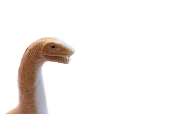 Dinoszaurusz Nyak Fej Közelről Elszigetelt Fehér Backgroun — Stock Fotó