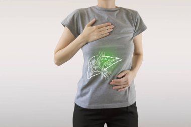 Digital composite of highlighted painful  liver of woman clipart