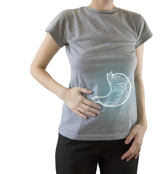 Цифровий композит підсвіченого здорового шлунка жінки — стокове фото