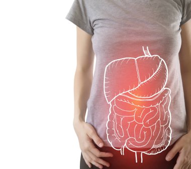 Bazı hastalıklar ile vurgulanan iç organlar