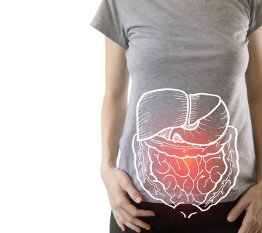 Bazı hastalıklar ile vurgulanan iç organlar