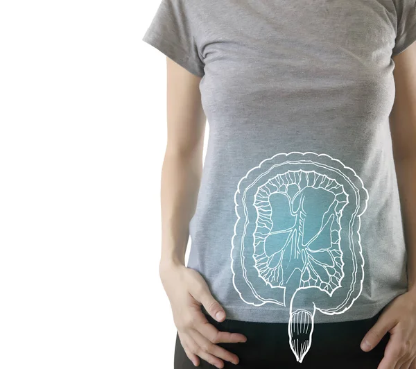 Composite numérique de l'intestin sain bleu mis en évidence de la femme — Photo