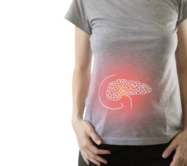 Digital composite of highlighted red pancreas of woman — Stock Photo, Image