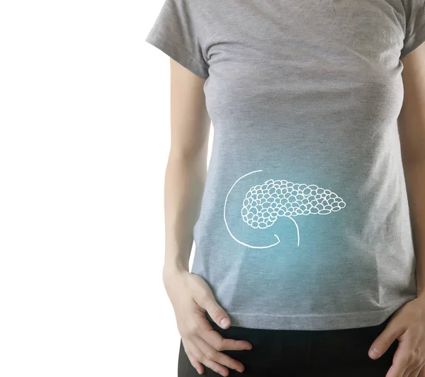 Healthy human pancreas highlighted blue on woman body — Stock Image Healthy human pancreas highlighted blue on woman body Stock Photo