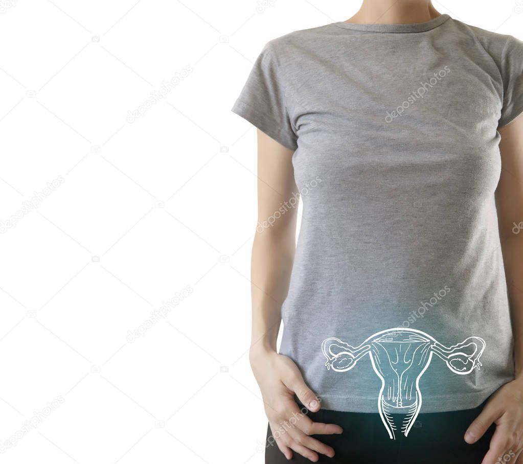 human female reproductive system on woman body