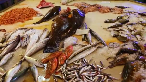 Frischer Fischlachs Sardinen Thunfisch Auf Dem Markt Handschuss — Stockvideo