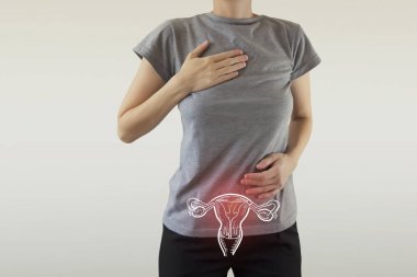 Kadın Üreme Sistemi Anatomisi