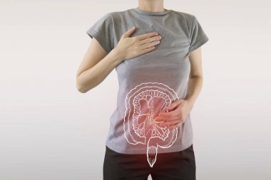 Digital composite of highlighted redinjured or infected intestine clipart