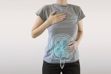 Digital composite of highlighted blue healthy intestine of woman clipart