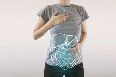 sağlıklı vücut üzerinde vurgulanan iç organları