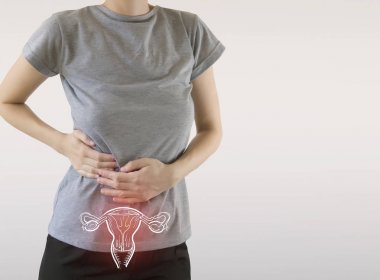 Kadın Üreme Sistemi Anatomisi