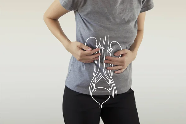 Anatomi Kidney Wanita Manusia disorot putih — Stok Foto