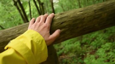 Ormanda bir yerde bir kadının eli ahşap korkuluklarda süzülüyor. Sabah koşusu ve meditasyon konsepti insan eli videosu, orman, doğa ve ekoloji ile uyum, iç denge 