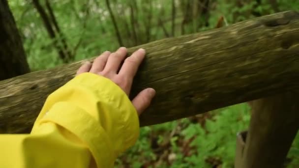 女人的手滑行在森林里某个地方的木栏杆上 晨跑与冥想概念手持式人类手 与森林和谐相处 自然与生态 内部平衡的视频 — 图库视频影像
