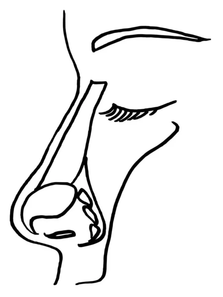 Dibujo Del Contorno Vectorial Nasofaringe Plantilla Editable Diseño Médico — Vector de stock