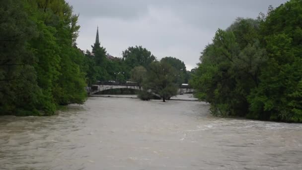2019年5月25日ドイツ ミュンヘン 数日間の雨の後 ミュンヘンの北のイザールに洪水が発生しました Hdビデオ Daylight — ストック動画