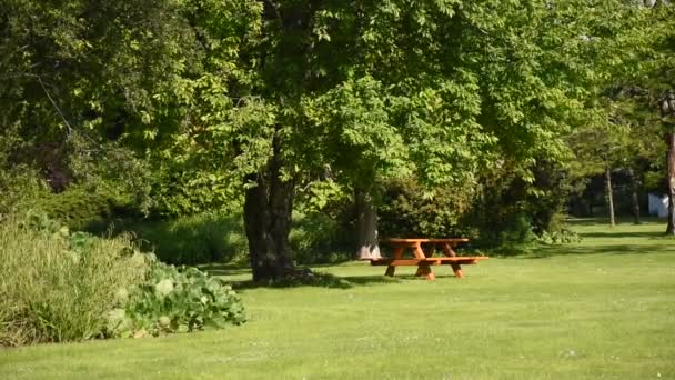 Park Scen Med Tomt Bord Och Bänkar För Picknick Sommarträdgård — Stockvideo