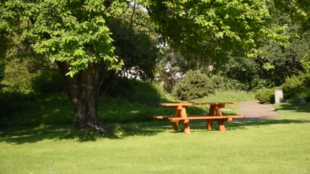 Parkszene Mit Leerem Tisch Und Bänken Zum Picknick Sommergarten Oder — Stockvideo