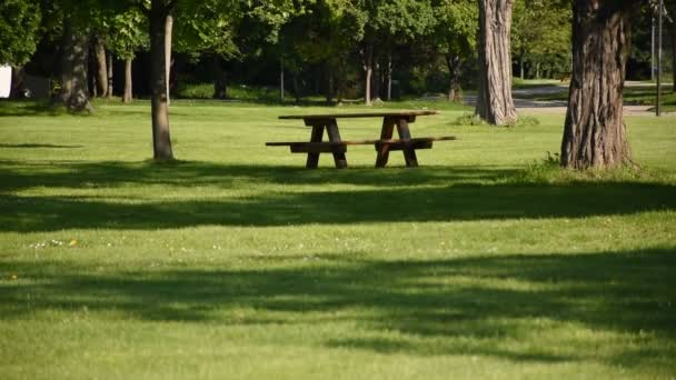 피크닉을 탁자와 벤치가 Summer Garden Public Park Green Planet — 비디오
