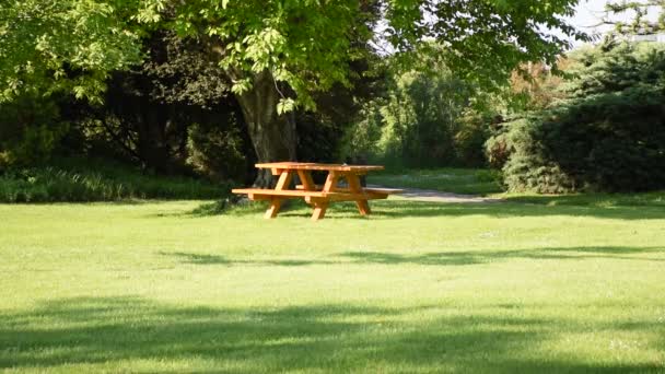 Park Scene Met Lege Tafel Banken Voor Een Picknick Zomertuin — Stockvideo