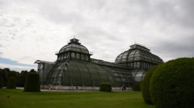01 Haziran 2019 Viyana, Avusturya - Schonbrunn Sarayı 'ndaki Palm House' un HD manzarası