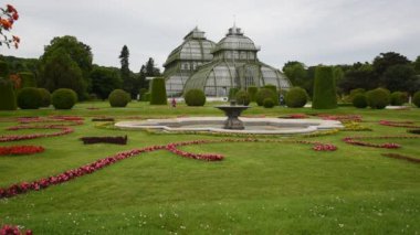 01 Haziran 2019 Viyana, Avusturya - Palmenhaus Schnbrunn yeşil evi. Çelik ve cam yapımının ayrıntıları. 