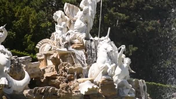 2019 Június Bécs Ausztria Hatalmas Lovak Istenek Neptuni Szökőkútban Schonbrunnban — Stock videók